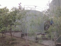 /album/cond-portal-do-sabia/foto0193-jpg/